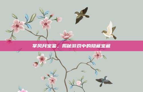 掌风月宝鉴，揭秘游戏中的隐藏宝藏