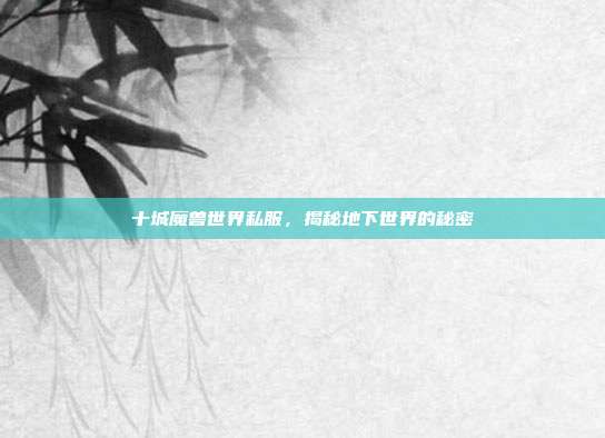十城魔兽世界私服，揭秘地下世界的秘密