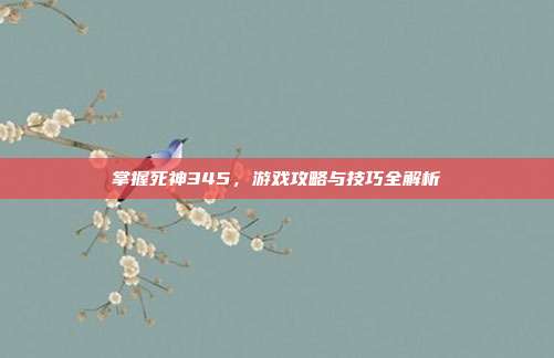 掌握死神345，游戏攻略与技巧全解析