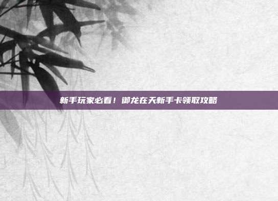 新手玩家必看！御龙在天新手卡领取攻略