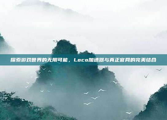 探索游戏世界的无限可能，Loco加速器与真正官网的完美结合