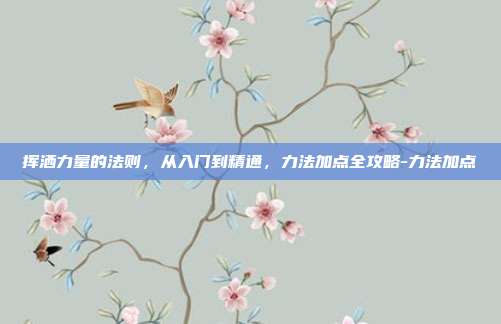 挥洒力量的法则，从入门到精通，力法加点全攻略-力法加点
