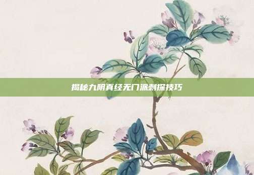 揭秘九阴真经无门派刺探技巧