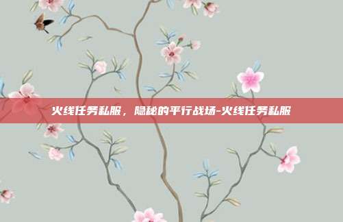 火线任务私服,隐秘的平行战场-火线任务私服