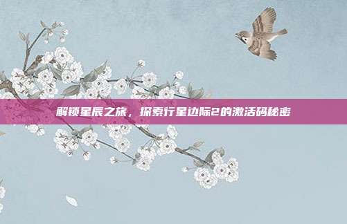 解锁星辰之旅，探索行星边际2的激活码秘密