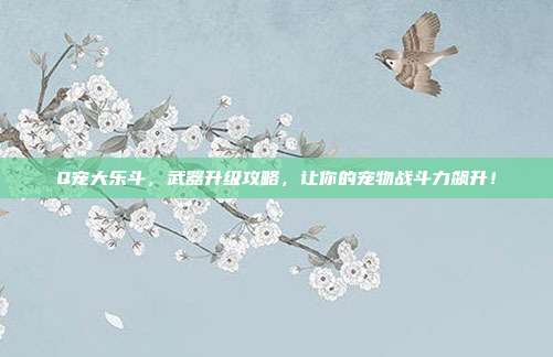 Q宠大乐斗，武器升级攻略，让你的宠物战斗力飙升！