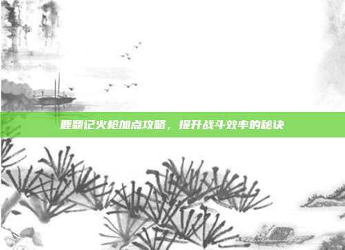 鹿鼎记火枪加点攻略，提升战斗效率的秘诀