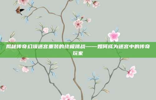 揭秘传奇幻境迷宫重装的终极挑战——如何成为迷宫中的传奇玩家