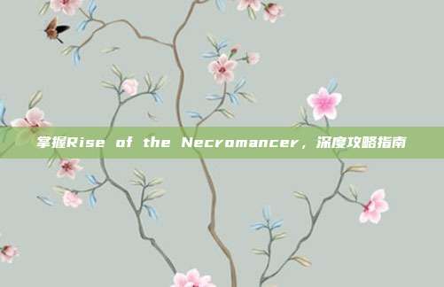 掌握Rise of the Necromancer，深度攻略指南