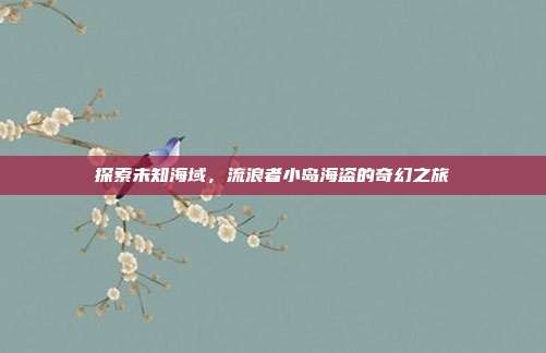 探索未知海域，流浪者小岛海盗的奇幻之旅