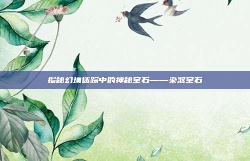 揭秘幻境迷踪中的神秘宝石——染煞宝石