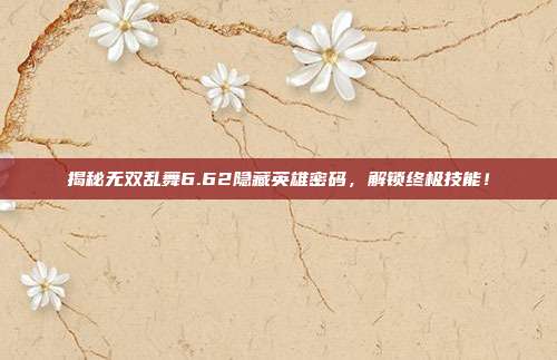 揭秘无双乱舞6.62隐藏英雄密码，解锁终极技能！
