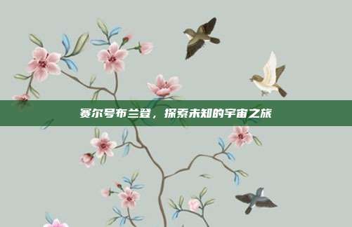 赛尔号布兰登，探索未知的宇宙之旅