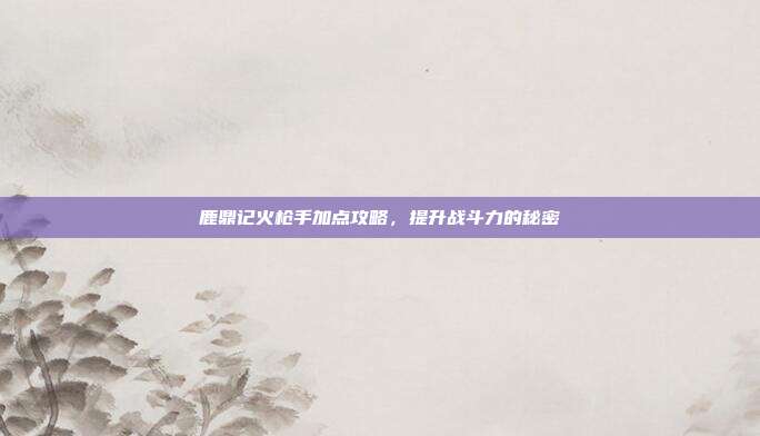 鹿鼎记火枪手加点攻略，提升战斗力的秘密