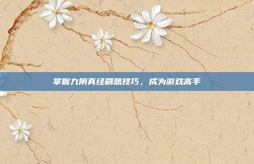 掌握九阴真经刷恶技巧，成为游戏高手
