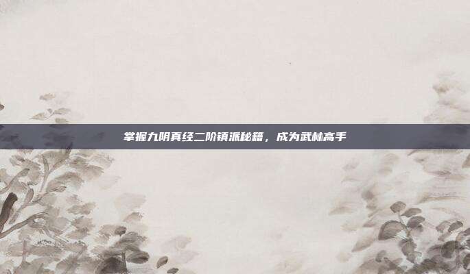 掌握九阴真经二阶镇派秘籍，成为武林高手
