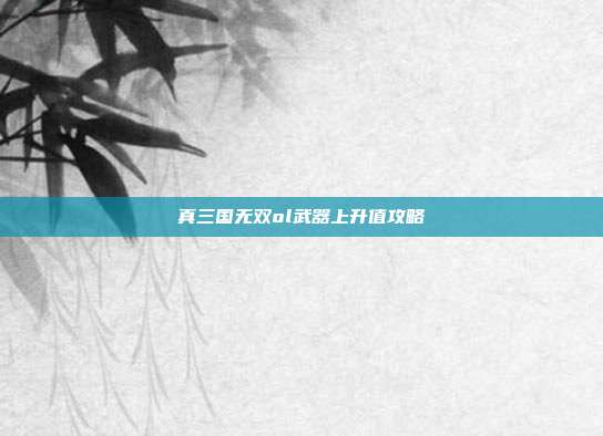 真三国无双ol武器上升值攻略