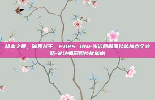 极寒之舞，破界封王，2025 DNF冰洁师刷图技能加点全攻略-冰洁师刷图技能加点
