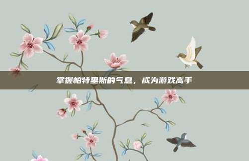 掌握帕特里斯的气息，成为游戏高手