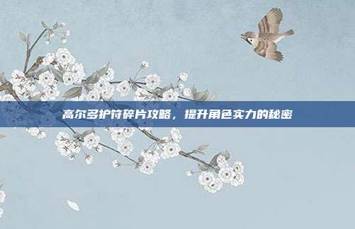 高尔多护符碎片攻略，提升角色实力的秘密