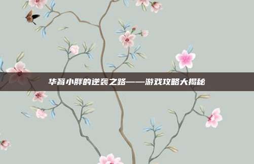 华裔小胖的逆袭之路——游戏攻略大揭秘