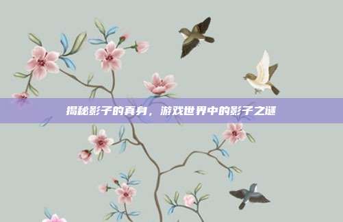 揭秘影子的真身，游戏世界中的影子之谜