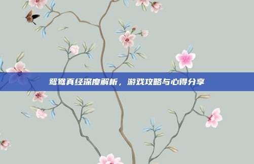 鸳鸯真经深度解析，游戏攻略与心得分享