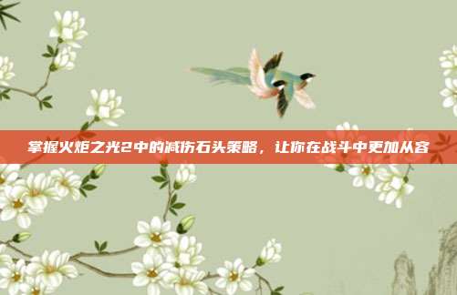掌握火炬之光2中的减伤石头策略，让你在战斗中更加从容