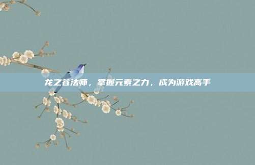 龙之谷法师，掌握元素之力，成为游戏高手