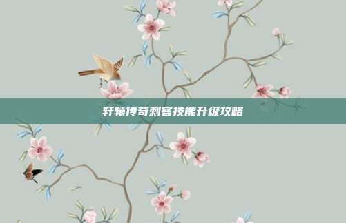轩辕传奇刺客技能升级攻略