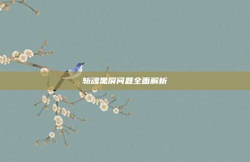 斩魂黑屏问题全面解析