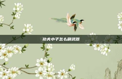 功夫小子怎么刷武器