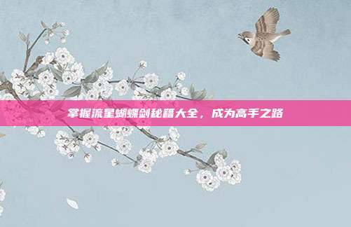 掌握流星蝴蝶剑秘籍大全，成为高手之路