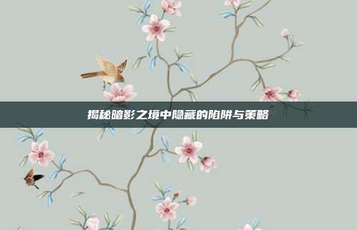 揭秘暗影之境中隐藏的陷阱与策略