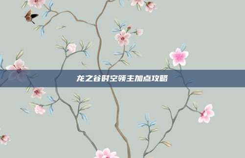 龙之谷时空领主加点攻略