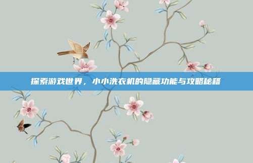 探索游戏世界，小小洗衣机的隐藏功能与攻略秘籍