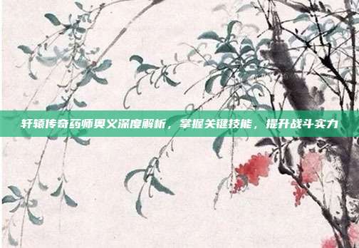 轩辕传奇药师奥义深度解析，掌握关键技能，提升战斗实力