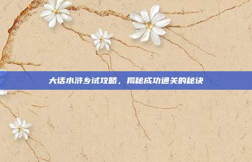 大话水浒乡试攻略，揭秘成功通关的秘诀