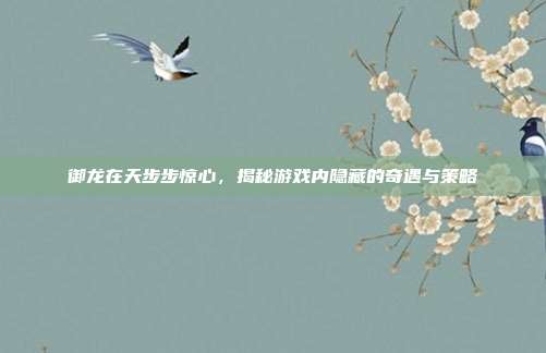 御龙在天步步惊心，揭秘游戏内隐藏的奇遇与策略