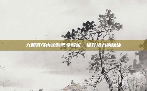 九阴真经内功称号全解析，提升战力的秘诀