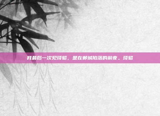 我最后一次见琦貂，是在邺城陷落的前夜。琦貂