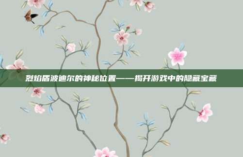 烈焰盾波迪尔的神秘位置——揭开游戏中的隐藏宝藏