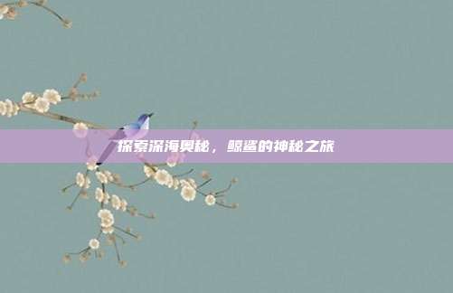 探索深海奥秘，鲸鲨的神秘之旅