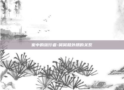 家中的旅行者-舅舅和外甥的关系