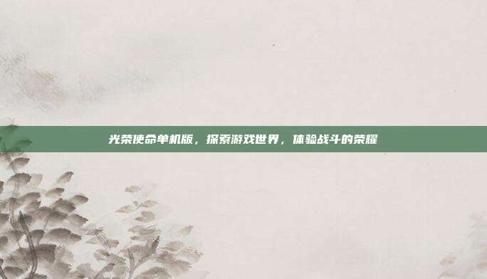 光荣使命单机版，探索游戏世界，体验战斗的荣耀