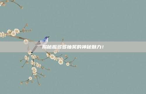 揭秘趣多多抽奖的神秘魅力！