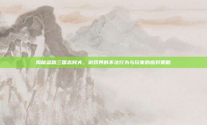 揭秘盗版三国志民夫，游戏界的不法行为与玩家的应对策略