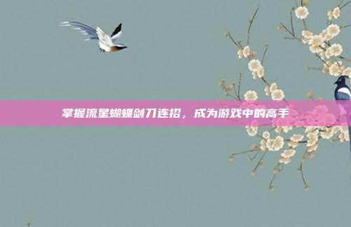 掌握流星蝴蝶剑刀连招，成为游戏中的高手