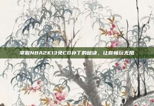 掌握NBA2K13免CD补丁的秘诀，让你畅玩无阻