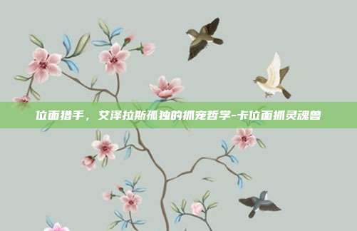 位面猎手，艾泽拉斯孤独的抓宠哲学-卡位面抓灵魂兽